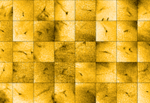 The European Space Agency believes that its Solar Orbiter spacecraft may have discovered the source of solar wind.