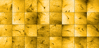 The European Space Agency believes that its Solar Orbiter spacecraft may have discovered the source of solar wind.