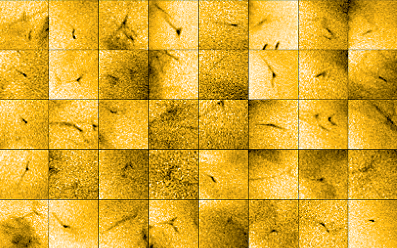 The European Space Agency believes that its Solar Orbiter spacecraft may have discovered the source of solar wind.