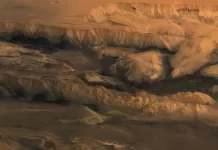 ESA has issued a call to tender for the development of a flapping-wing propulsion system for a future flying Mars explorer.