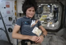 CNES has issued a call for a space kitchen prototype designed for future crewed deep space missions, with long-term testing planned in Toulouse.